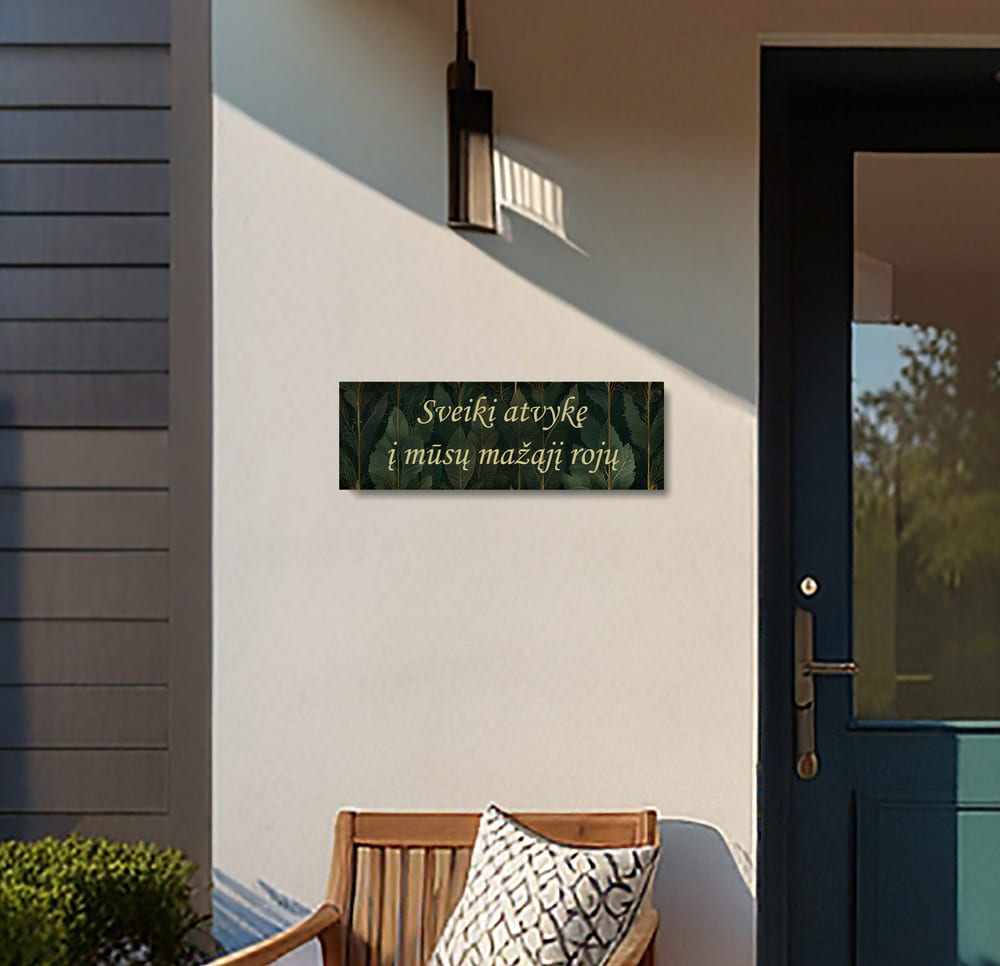 Leonardo_Lightning_XL_A_cozy_entrance_porch_of_a_house_featu_1