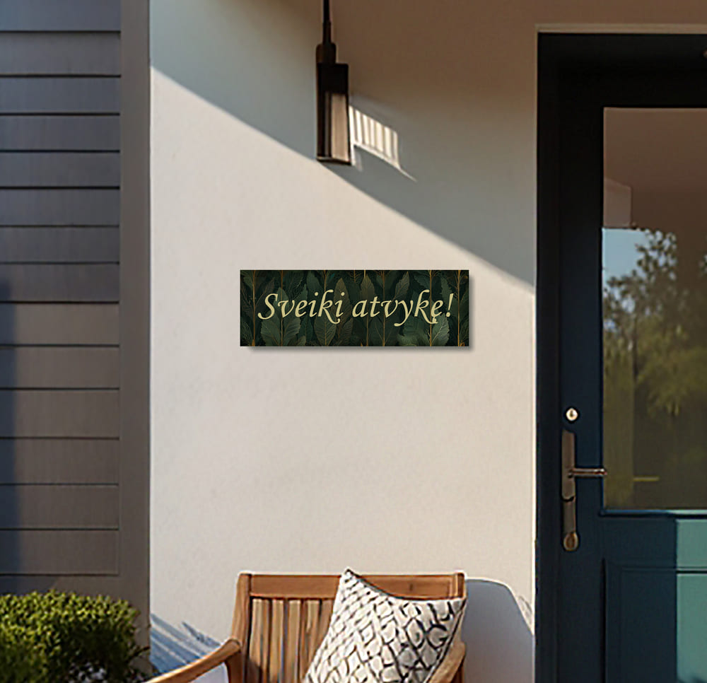 Leonardo_Lightning_XL_A_cozy_entrance_porch_of_a_house_featu_1