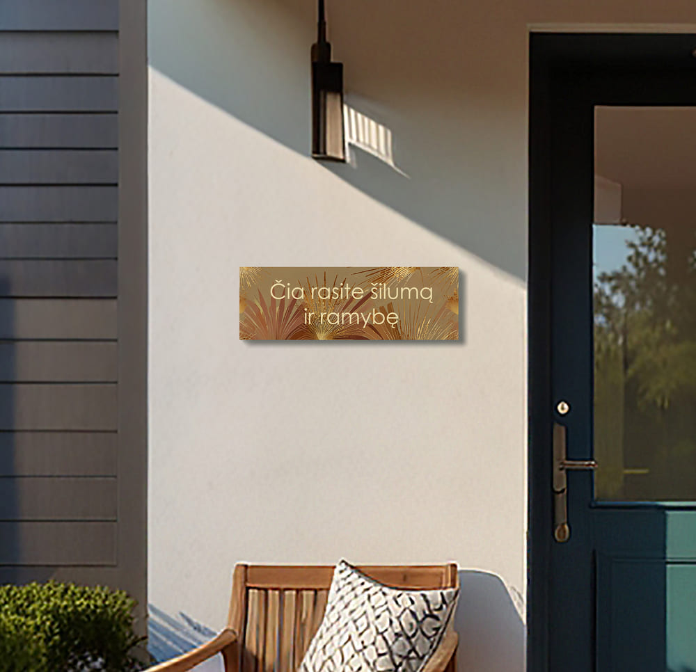 Leonardo_Lightning_XL_A_cozy_entrance_porch_of_a_house_featu_1