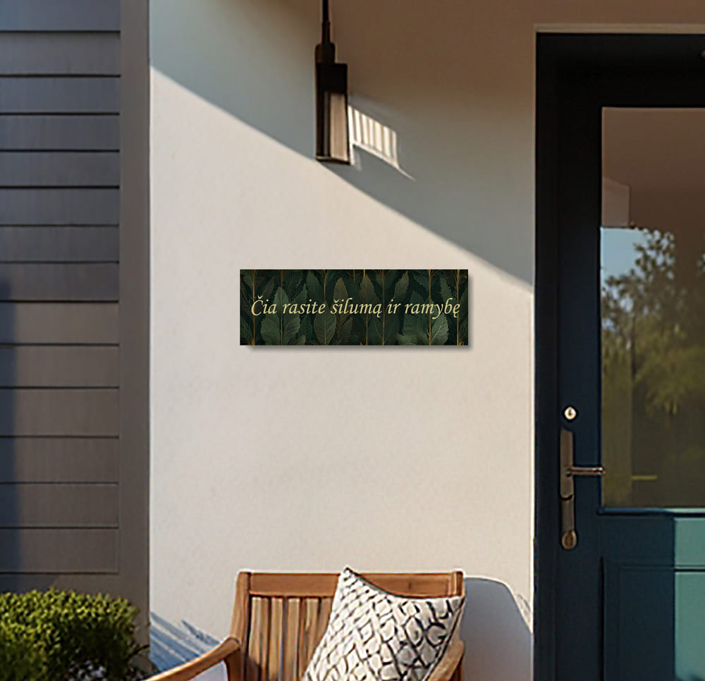 Leonardo_Lightning_XL_A_cozy_entrance_porch_of_a_house_featu_1