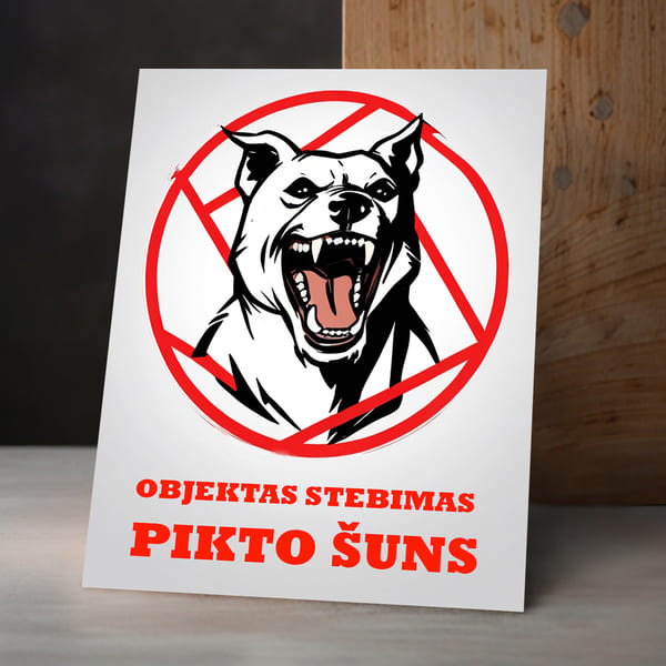 Leonardo_Lightning_XL_A_welllit_and_professionally_arranged_p_0