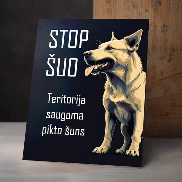 Leonardo_Lightning_XL_A_welllit_and_professionally_arranged_p_0