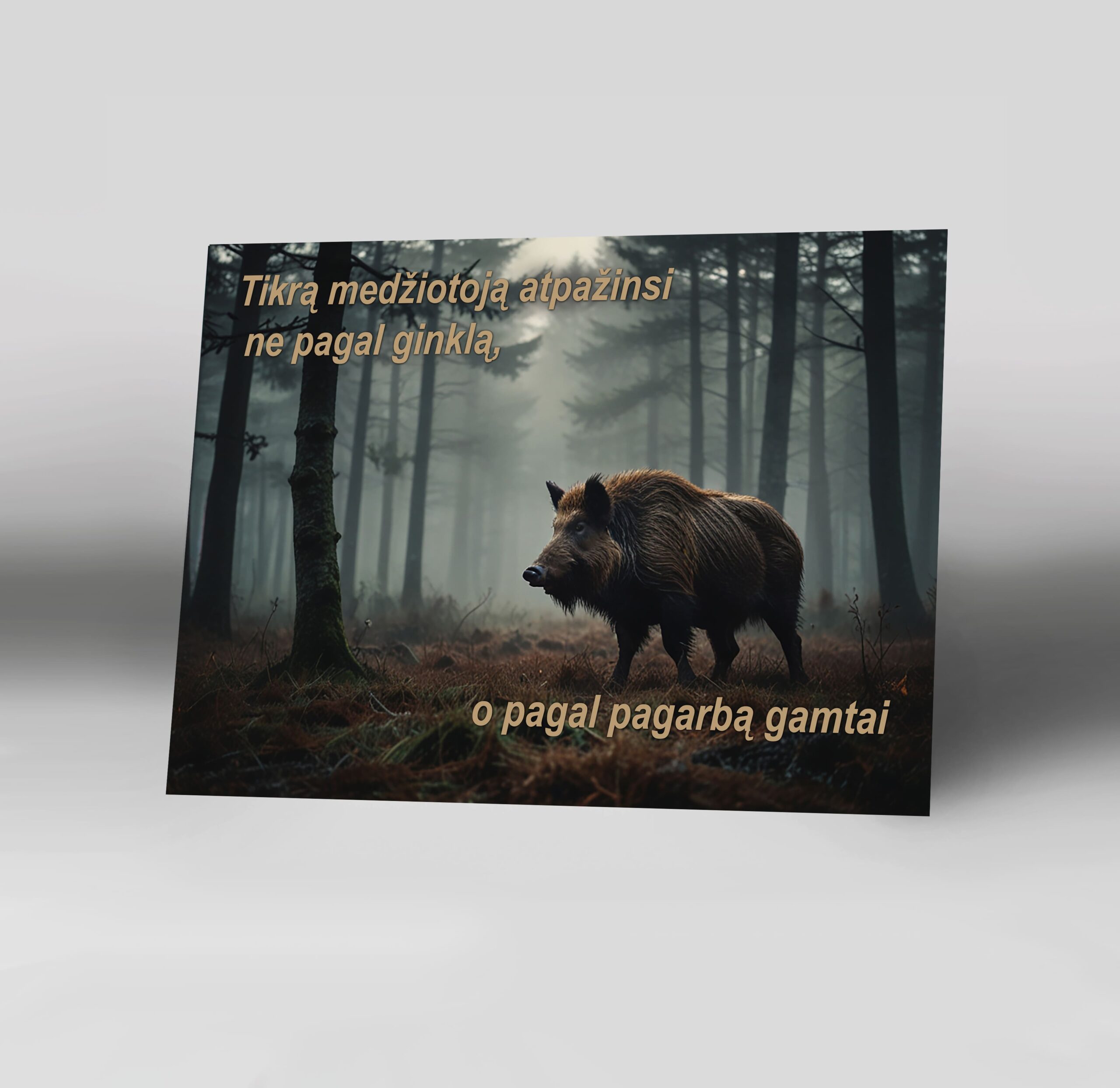 Untitled-11-Recovered